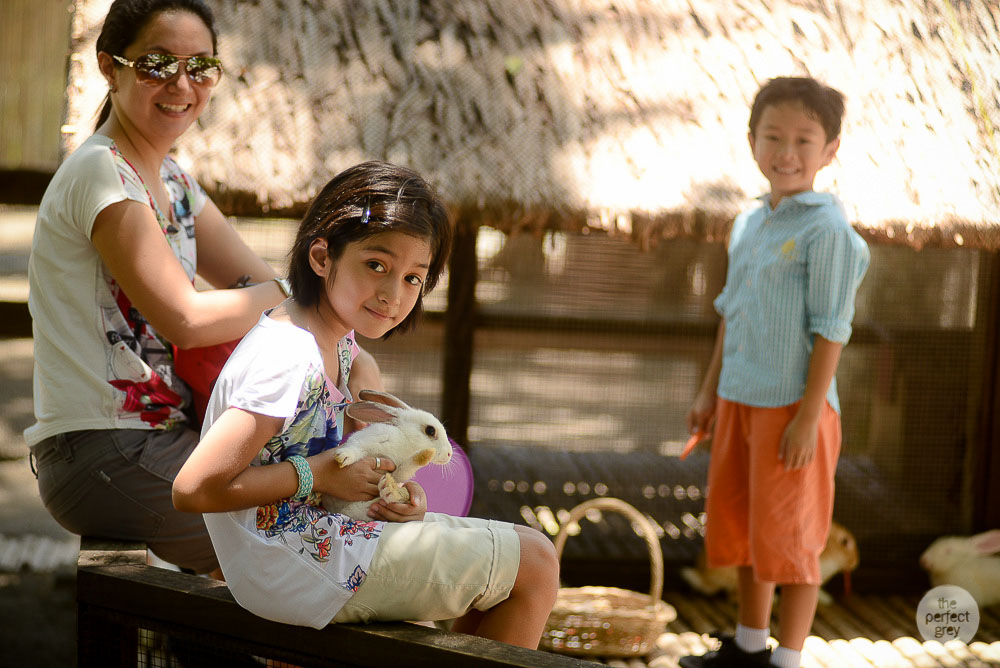sta-elena-birthday-family-photographer-laguna-philippines-farm-theme-perfect-grey-7853