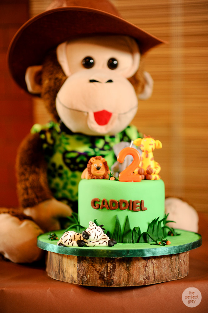 birthday-party-family-photographer-safari-animal-theme-perfect-grey-arlene-briones-4316