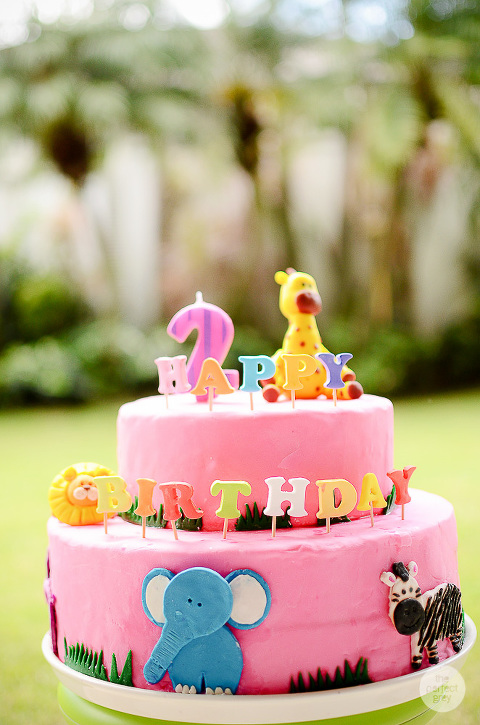 family-birthday-photographer-the-perfect-grey-laguna-manila-batangas-philippines-2