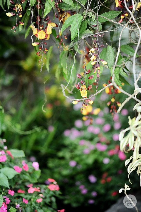 tagaytay-wedding-photographer-josephines-the-perfect-grey-wedding-photographer-philippines-philippine-laguna-batangas-taal-vista-arlene-briones-she-aguiba-52