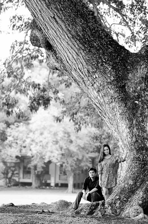 los-banos-uplb-prenup-laguna-batangas-tagaytay-wedding-photographer-philippine-philippines-the-perfect-grey-vcf-christian-pastor-34