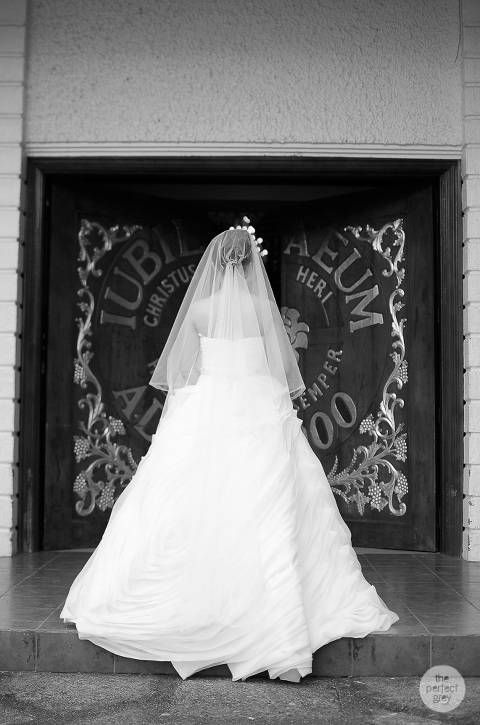 laguna-wedding-philippine-wedding-photographer-philippines-pastel-theme-the-perfect-grey-arlene-briones-she-aguiba-ej-lagrimas-38