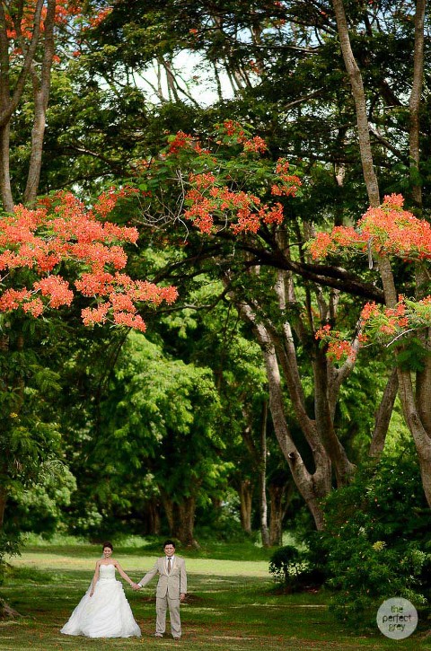 laguna-wedding-philippine-wedding-photographer-philippines-pastel-theme-the-perfect-grey-arlene-briones-she-aguiba-ej-lagrimas-62