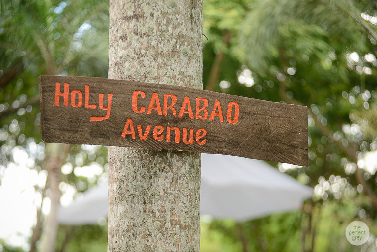 sta-elena-birthday-family-photographer-laguna-philippines-farm-theme-perfect-grey-7315