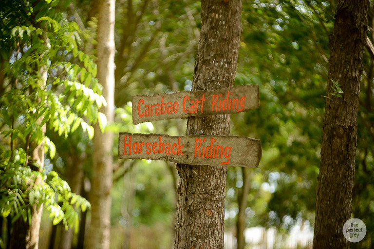sta-elena-birthday-family-photographer-laguna-philippines-farm-theme-perfect-grey-7323