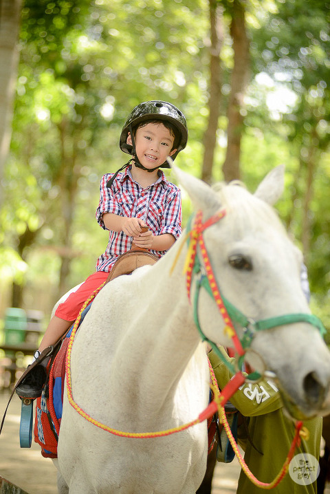 sta-elena-birthday-family-photographer-laguna-philippines-farm-theme-perfect-grey-7360