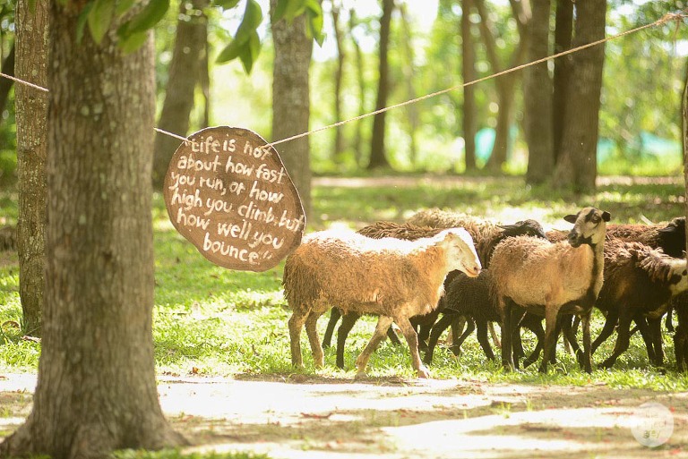 sta-elena-birthday-family-photographer-laguna-philippines-farm-theme-perfect-grey-7406