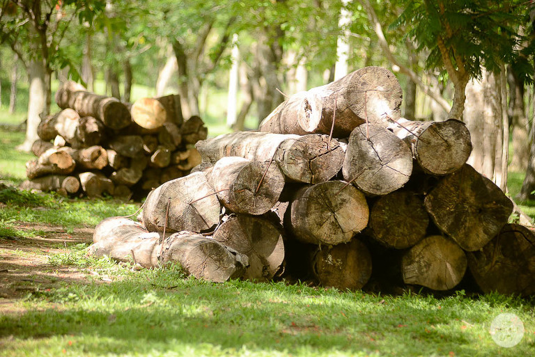 sta-elena-birthday-family-photographer-laguna-philippines-farm-theme-perfect-grey-7533