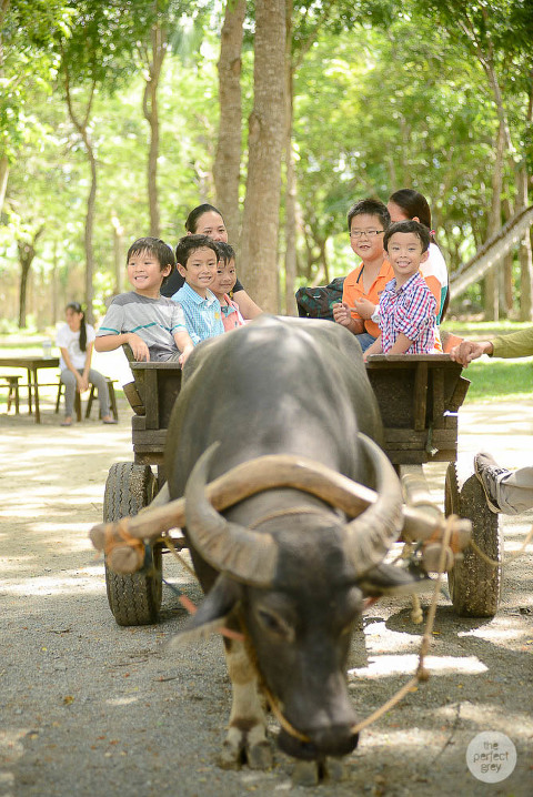 sta-elena-birthday-family-photographer-laguna-philippines-farm-theme-perfect-grey-7549