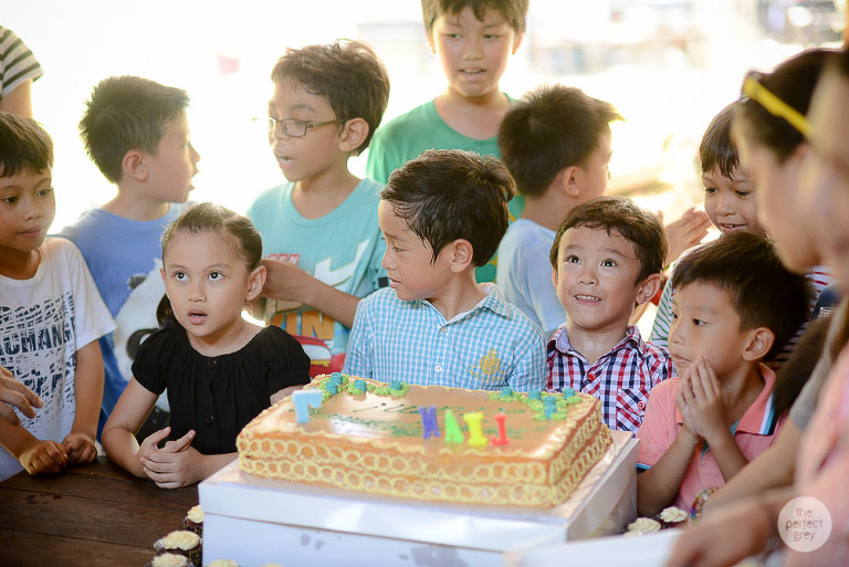 sta-elena-birthday-family-photographer-laguna-philippines-farm-theme-perfect-grey-7918