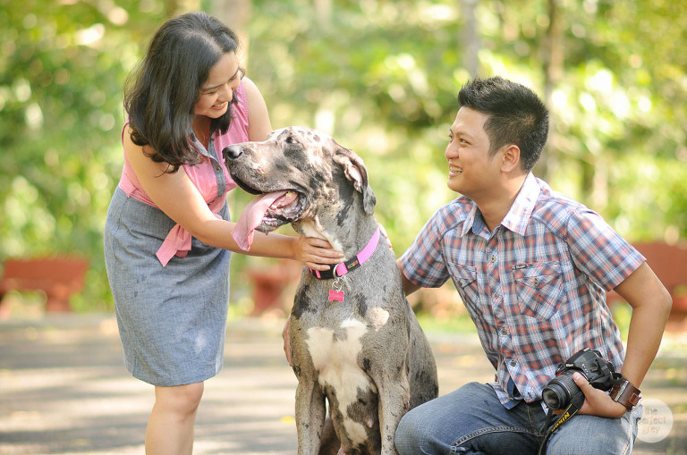 dog-pet-prenup-wedding-photographer-philippines-laguna-botanical-garden-uplb-los-banos-perfect-grey-arlene-briones-6754