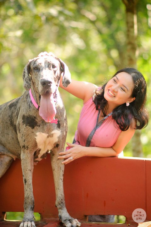 dog-pet-prenup-wedding-photographer-philippines-laguna-botanical-garden-uplb-los-banos-perfect-grey-arlene-briones-6798