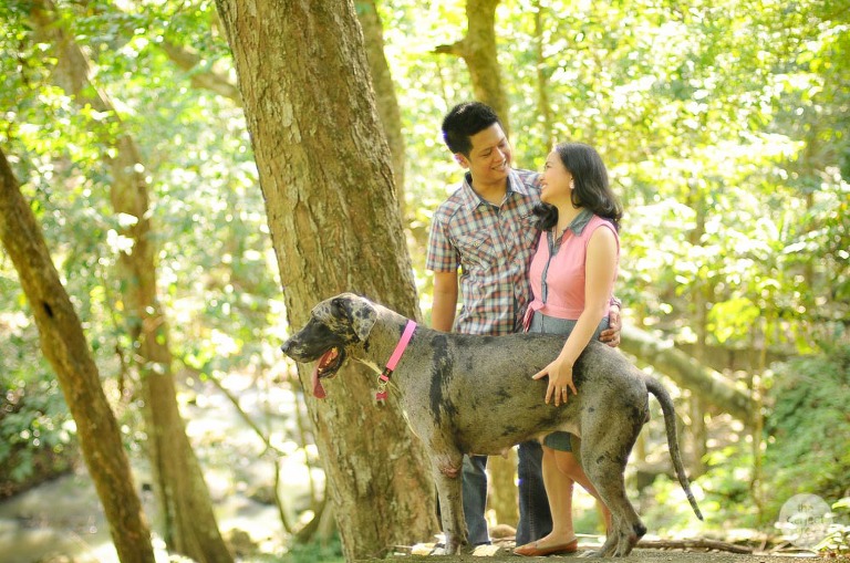 dog-pet-prenup-wedding-photographer-philippines-laguna-botanical-garden-uplb-los-banos-perfect-grey-arlene-briones-6859