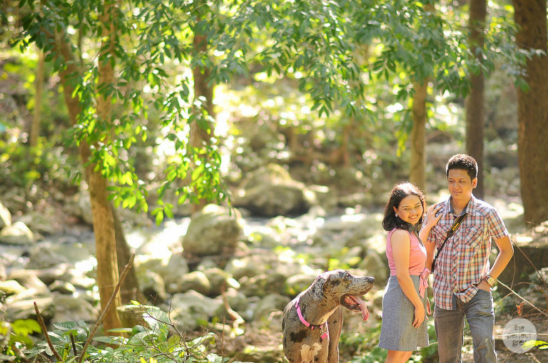 dog-pet-prenup-wedding-photographer-philippines-laguna-botanical-garden-uplb-los-banos-perfect-grey-arlene-briones-7028