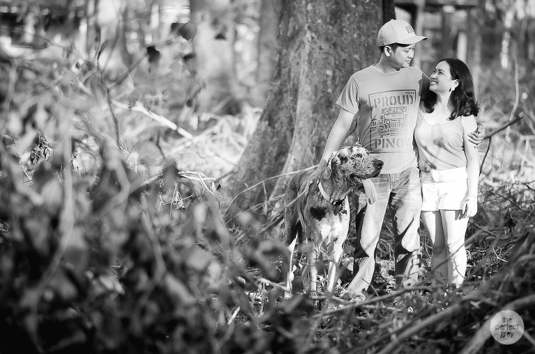 dog-pet-prenup-wedding-photographer-philippines-laguna-botanical-garden-uplb-los-banos-perfect-grey-arlene-briones-7390