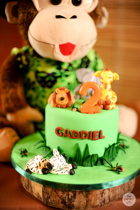 birthday-party-family-photographer-safari-animal-theme-perfect-grey-arlene-briones-4322