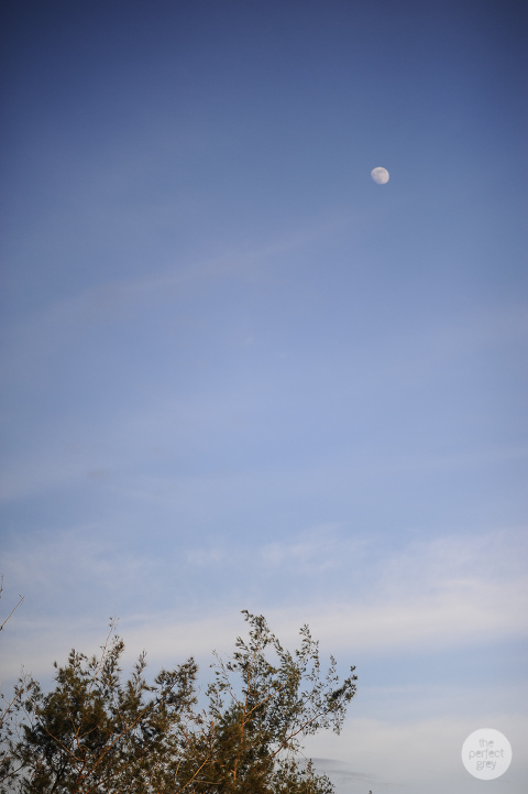 crosswinds-tagaytay-christian-garden-pastor-vcf-victory-wedding-arlene-briones-ej-lagrimas-the-perfect-grey-photographer-philippines-batangas-laguna-8291