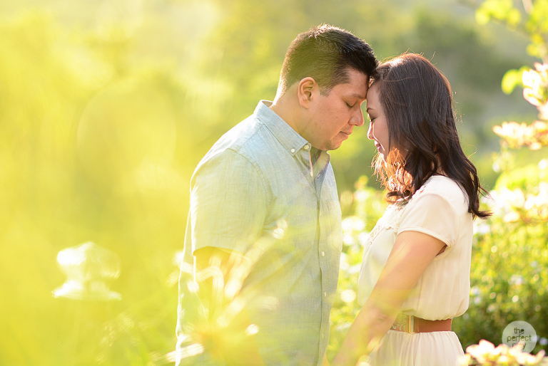 tagaytay-moongarden-prenup-philippine-wedding-photographer-philippines-the-perfect-grey-arlene-briones