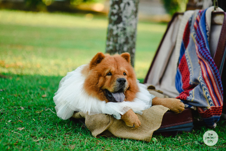 casa-san-pablo-wedding-prenup-laguna-philippine-wedding-photographer-philippines-arlene-briones-the-perfect-grey-4599