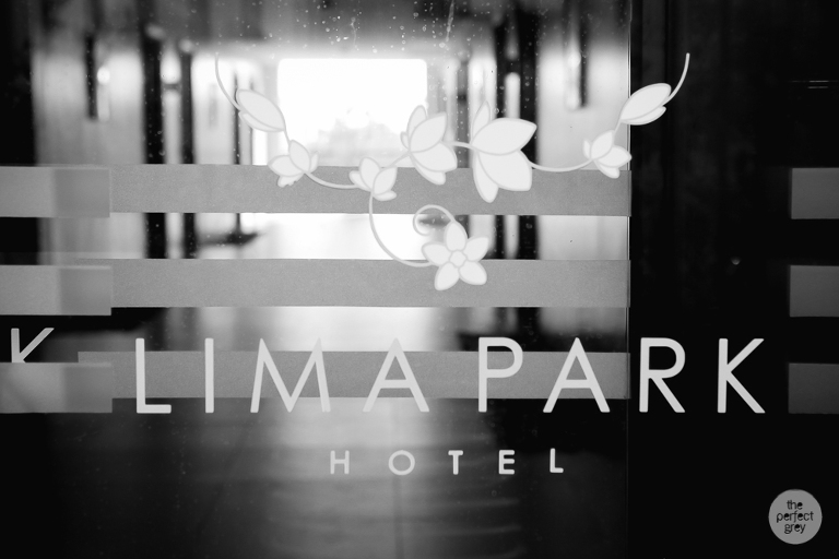 lima-park-batangas-wedding-photographer-philippines-philippine-the-perfect-grey-she-aguiba-bags-turalba-olivia-desamero-laguna-christian-2649