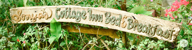 sonyas-garden-wedding-tagaytay-photographer-philippines-the-perfect-grey-photography-she-aguiba-vinci-berris-6158