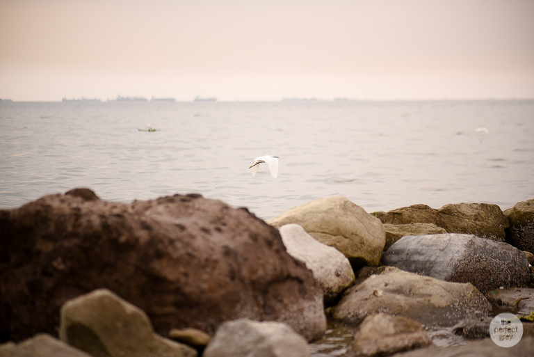 fireman-prenup-firetruck-8078