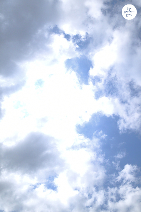 joseph and tina-uplb-wedding-laguna-herb republic-wedding-photographer-philippines-ej lagrimas (30)