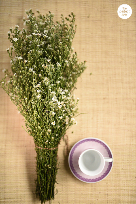 joseph and tina-uplb-wedding-laguna-herb republic-wedding-photographer-philippines-ej lagrimas (9)