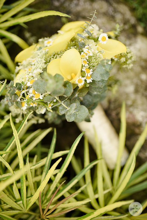 san-antonio-de-padua-los-banos-wedding-the-perfect-grey-wedding-photographer-laguna-philippines-ej-lagrimas-she-aguiba-