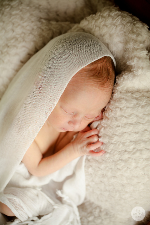 newborn-baby-photographer-laguna-philippines-the-perfect-grey-twins-01