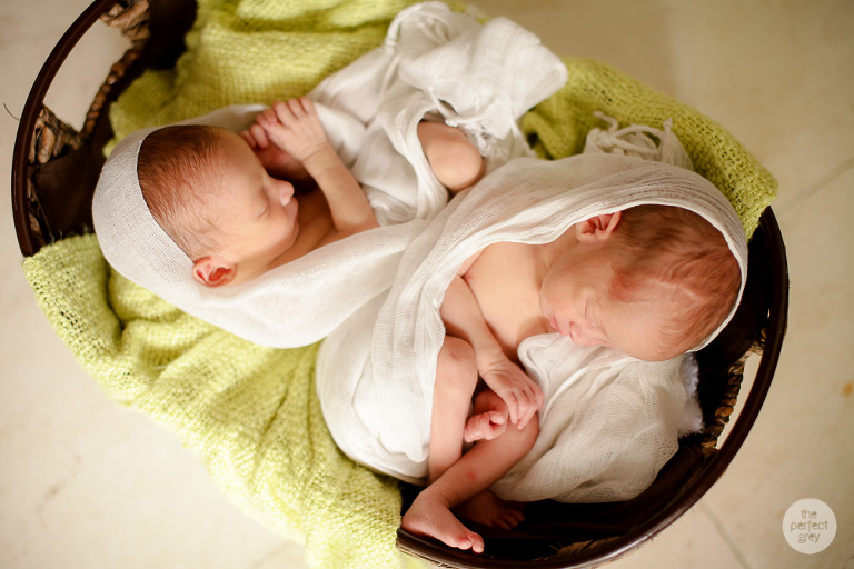 newborn-baby-photographer-laguna-philippines-the-perfect-grey-twins-14