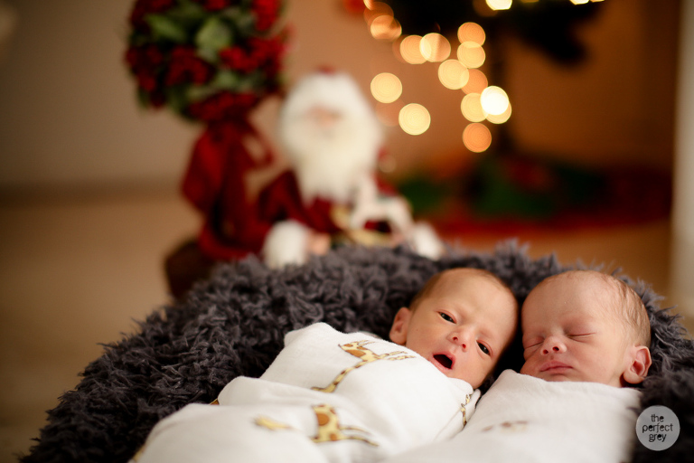 newborn-baby-photographer-laguna-philippines-the-perfect-grey-twins-40