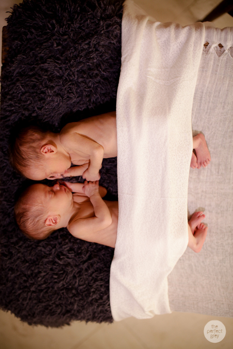 newborn-baby-photographer-laguna-philippines-the-perfect-grey-twins-56