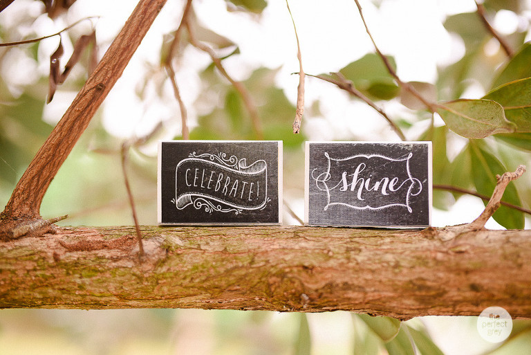 mills-country-club-laguna-wedding-photographer-philippines-the-perfect-grey-arlene-briones-ej-lagrimas-4