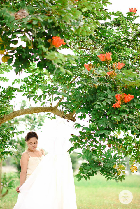 mills-country-club-laguna-wedding-photographer-philippines-the-perfect-grey-arlene-briones-ej-lagrimas-9