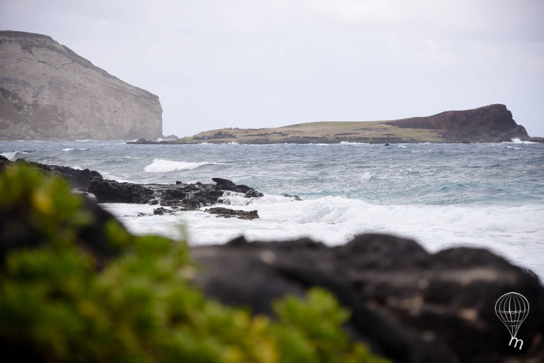 hawaii-family-portraits-honolulu-meanings-perfect-grey-arlene-briones-family-portrait-photographer-philippines-2285