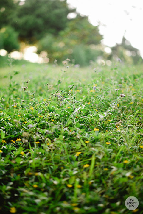 sierra-madre-boho-prenup-top-wedding-photographer-philippines-the-perfect-grey